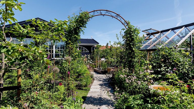 Kolonihave fyldt med farver og grønne planter