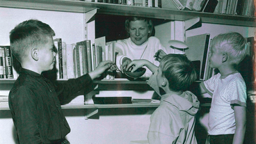 Køkkenlemmen – hvor blev den af?