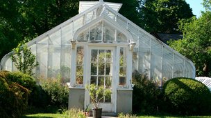 Orangeri i et drivhus