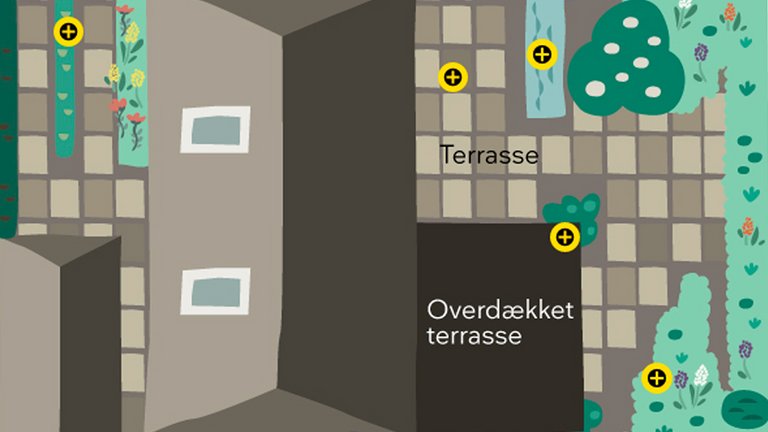 Infograf: Inspiration til at indrette 3 typer af haver