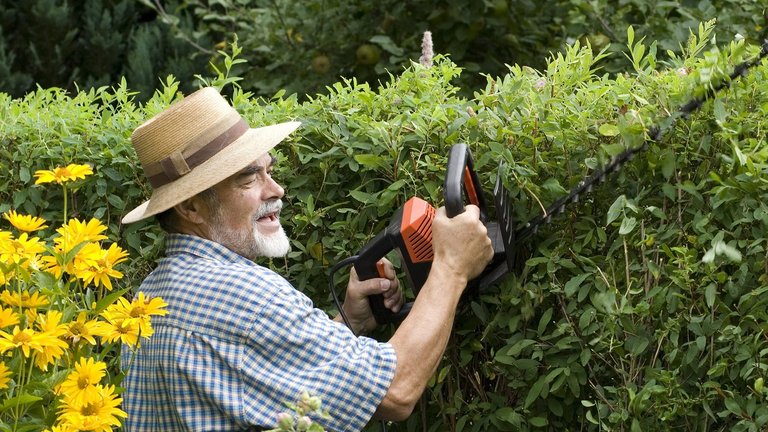 Sådan klipper du hækken helt lige