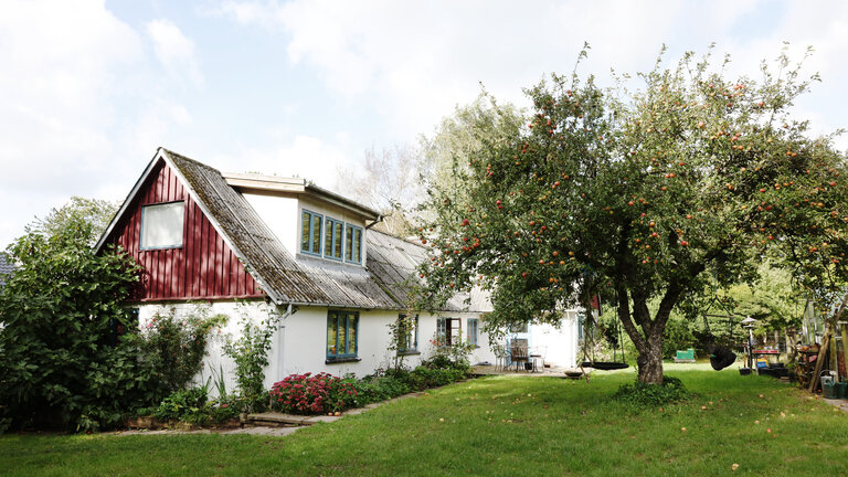 Ritts økologiske ånd lever på Bjerregaarden