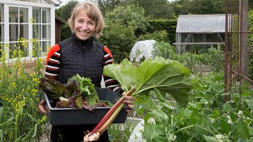 Køkkenhave fylder hele haven