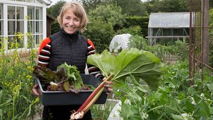 Køkkenhave fylder hele haven