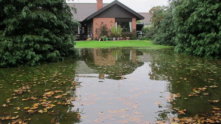 Højt grundvand: Boligejere kæmper alene mod oversvømmede græsplæner