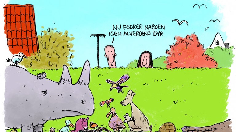Hvilke og hvor mange dyr må du have i din bolig?
