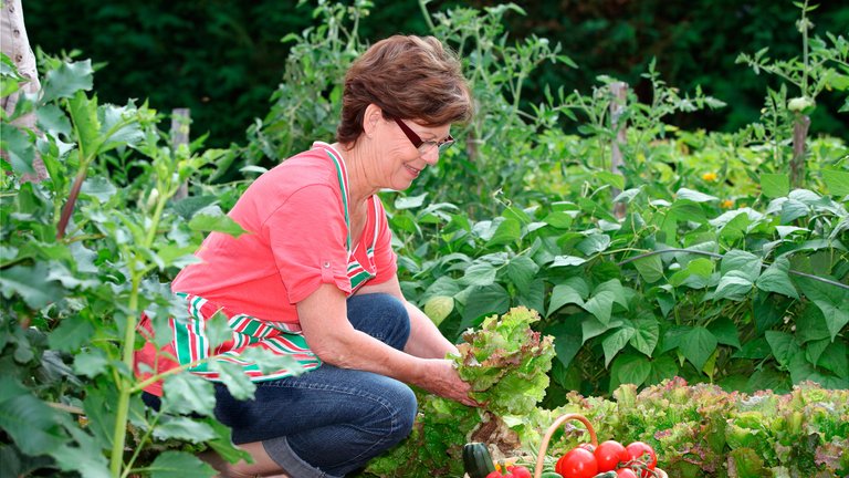 10 gode råd til køkkenhaven