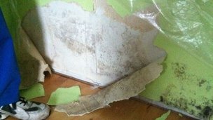 5 ting du IKKE vidste om skimmelsvamp