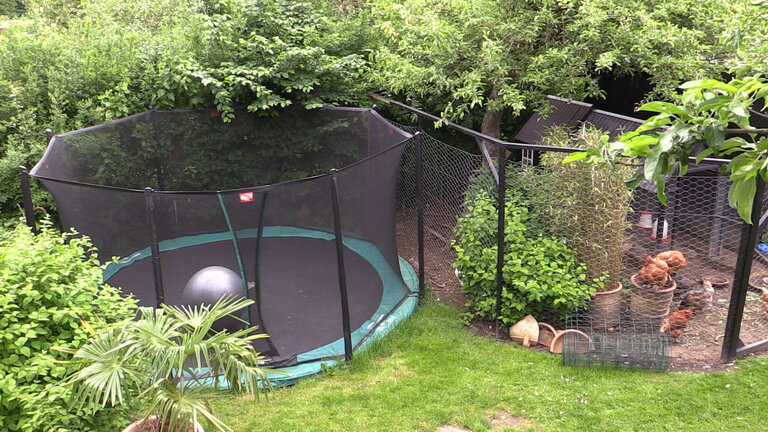 Trampolin og hønsehus i grøn have
