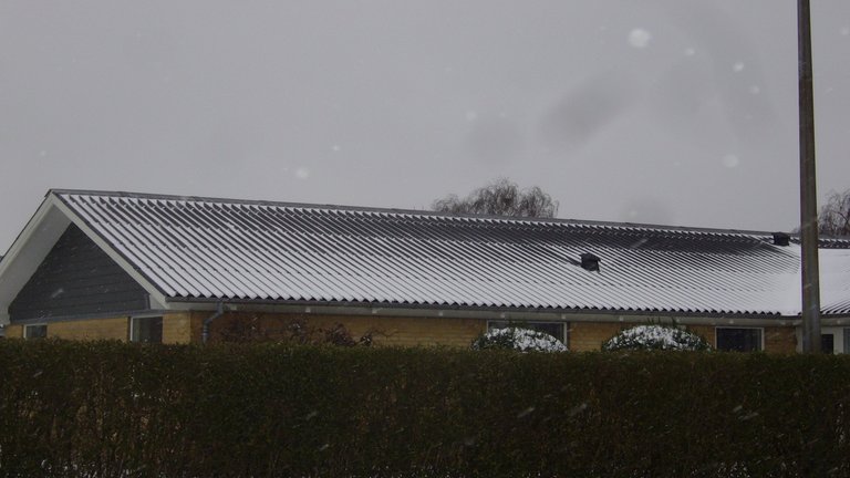 Kan sne- og fuglestop på taget forhindre sne og fugle på loftet?