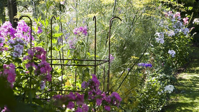 Havens blomstrende bede: Optimér din jord