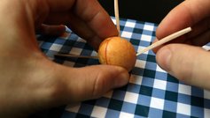 Plant dit eget avokadotræ