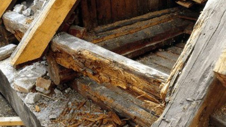 Sådan håndterer du et svampeangreb på dit hus