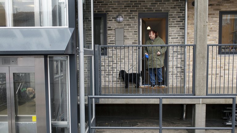 Svært at få tilladelse til at have hund og kat i mange lejeboliger