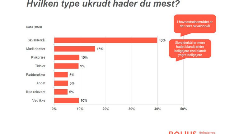 Dette ukrudt hader danskerne mest