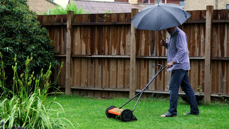 Slå græs i regnvejr