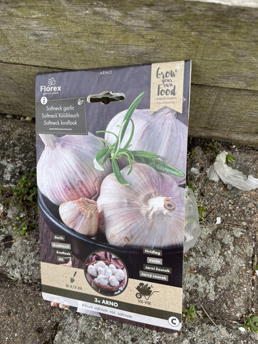 Hvidløg i pose til udplantning