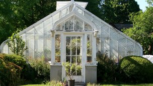 Drivhus - læs om placering, temperatur og rengøring