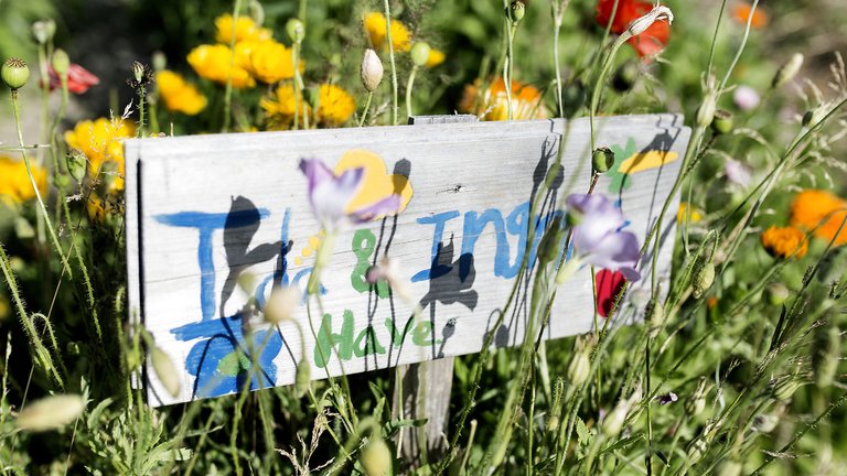 Danskernes viden om og interesse for at bo bæredygtigt i boligen