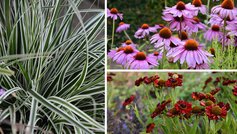 Blomster til hele året. 