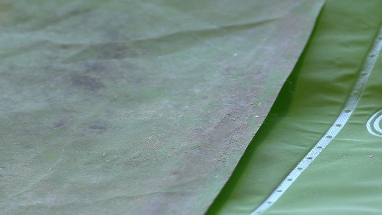 Sådan vasker du kalk og snavs af badeforhænget