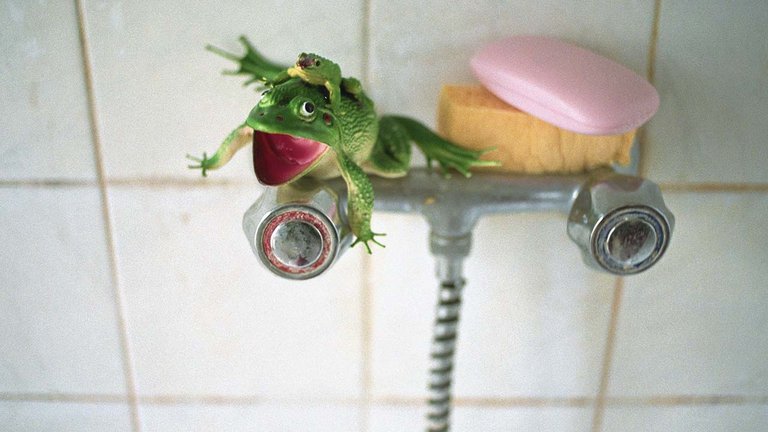 Hvordan fjerner du kalk på fliserne i badet?