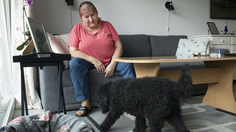 I Hundehuset kan der kun bo hundeejere