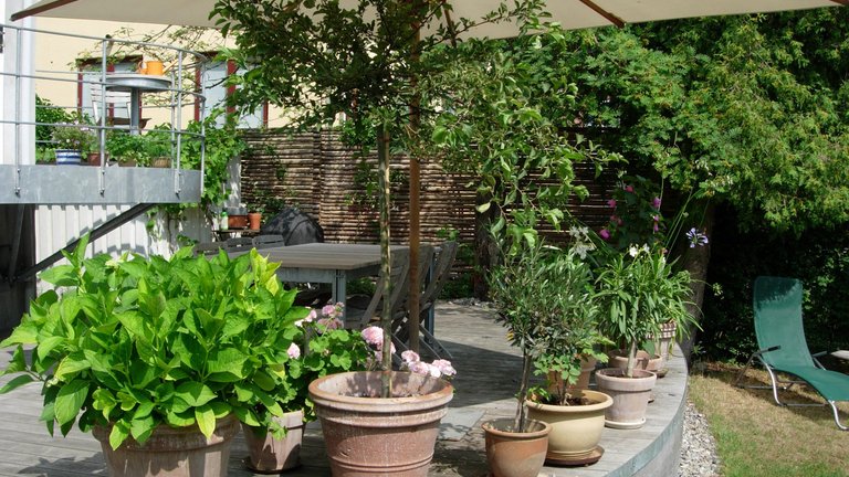 Gode råd om krukker til altan og terrasse