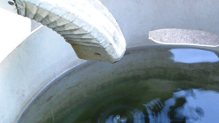 Hvad gør du med vandet fra din regnvandstønde?