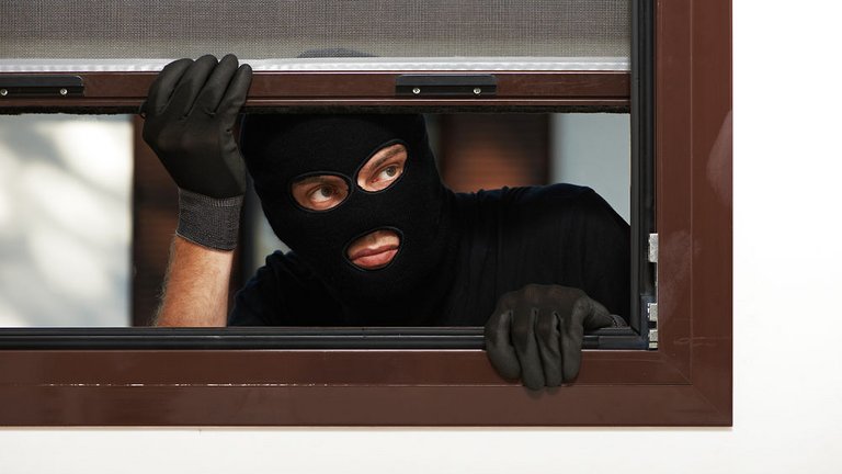 DNA-mærkning af dine ejendele