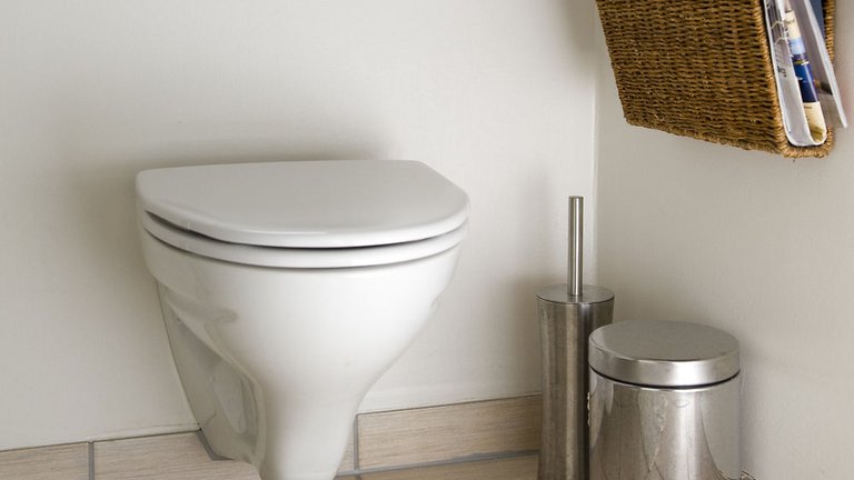 Sådan vælger du toilet