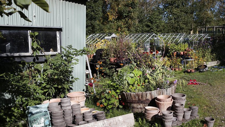 Skal du grave køkkenhaven igennem om efteråret?