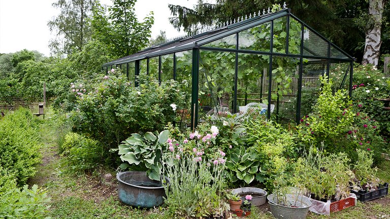 Sådan overlever dit drivhus din ferie