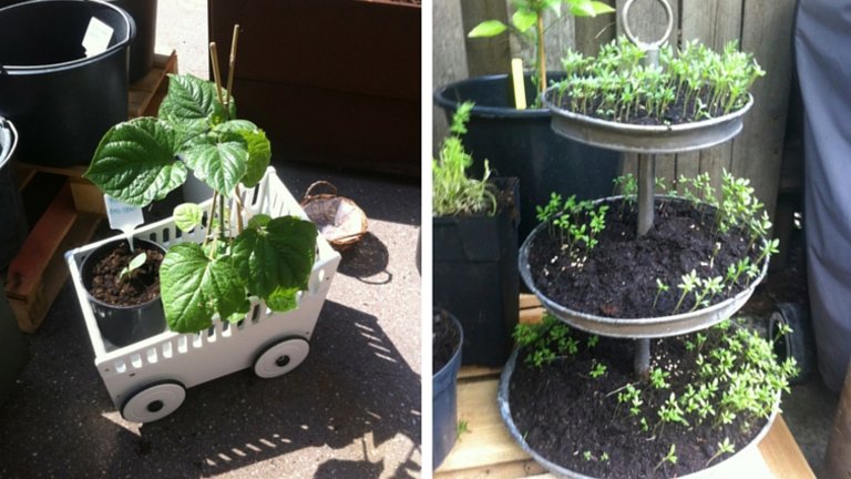 7 hverdagsting, du nemt kan genbruge