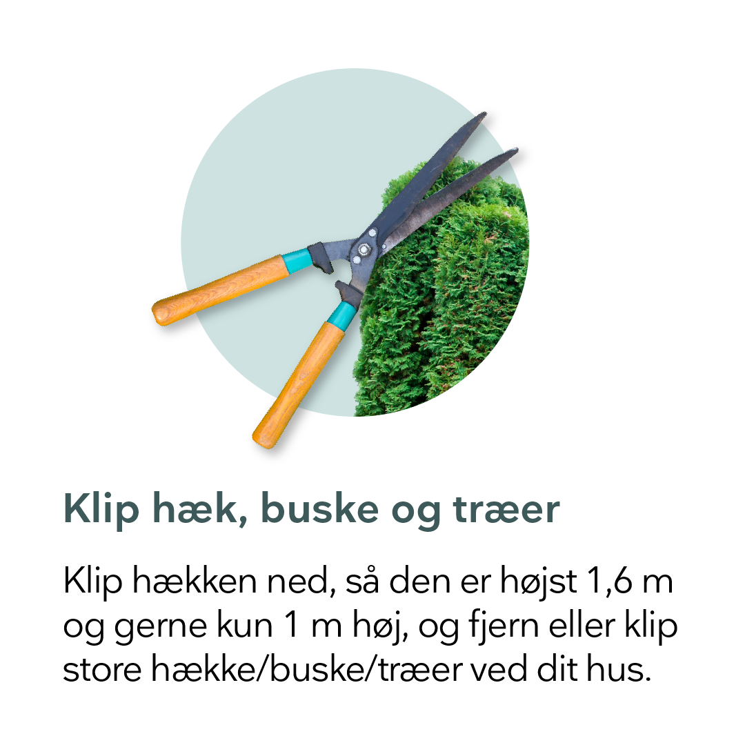 Grafik viser hæk blive klippet med hækkesaks for at undgå indbrud